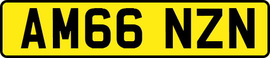 AM66NZN