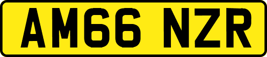 AM66NZR