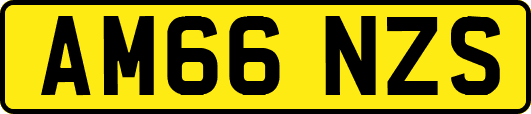 AM66NZS