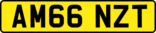 AM66NZT