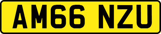 AM66NZU