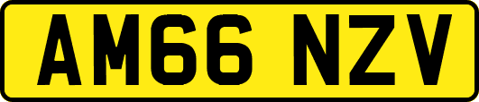 AM66NZV