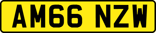 AM66NZW