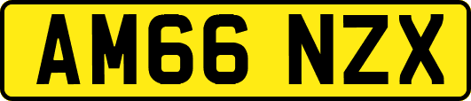 AM66NZX