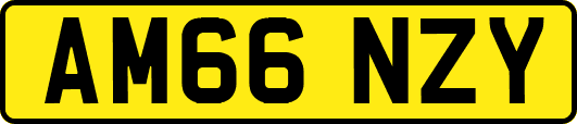 AM66NZY