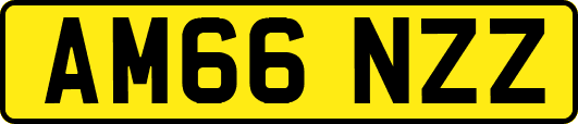 AM66NZZ