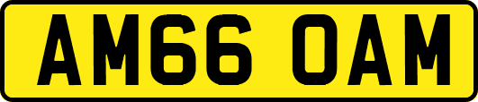 AM66OAM