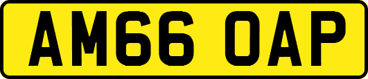 AM66OAP