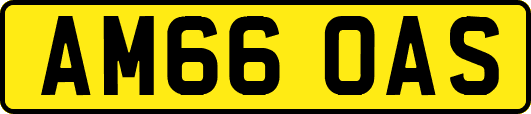 AM66OAS