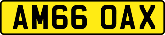 AM66OAX