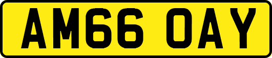 AM66OAY