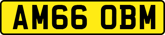 AM66OBM