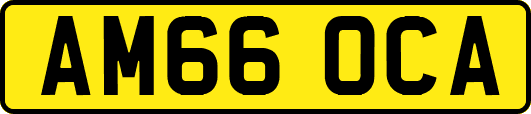 AM66OCA