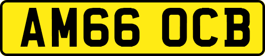 AM66OCB