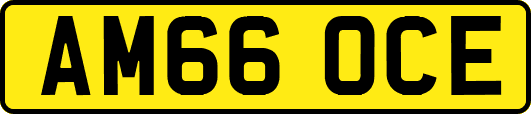 AM66OCE