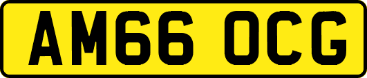AM66OCG