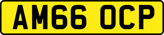 AM66OCP