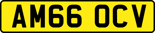 AM66OCV