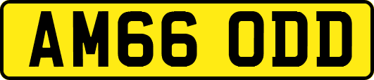 AM66ODD
