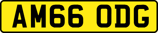 AM66ODG