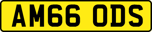 AM66ODS