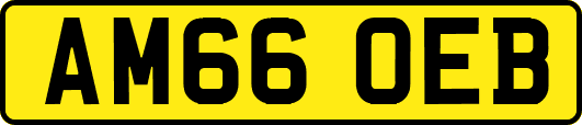 AM66OEB