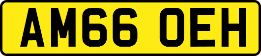 AM66OEH