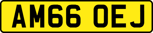 AM66OEJ