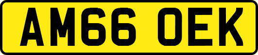 AM66OEK