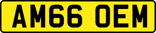 AM66OEM