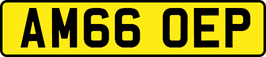 AM66OEP