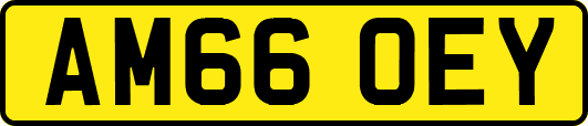 AM66OEY