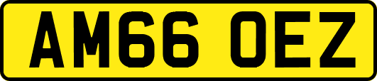AM66OEZ