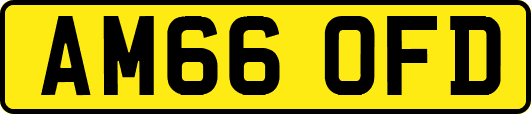 AM66OFD