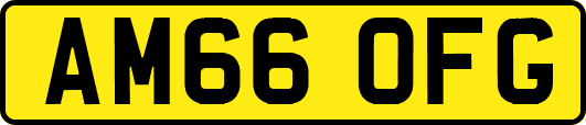 AM66OFG