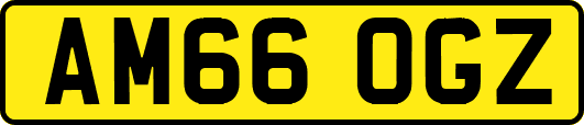 AM66OGZ