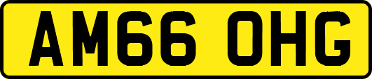 AM66OHG