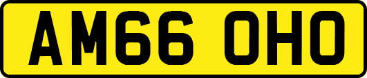 AM66OHO