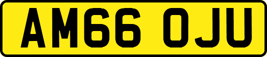 AM66OJU