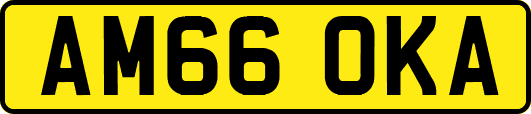 AM66OKA