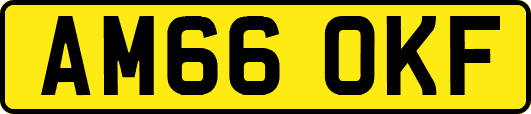 AM66OKF