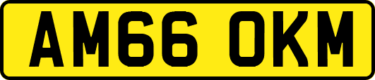 AM66OKM