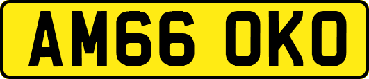 AM66OKO