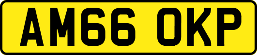 AM66OKP