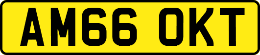 AM66OKT