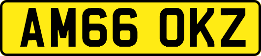 AM66OKZ