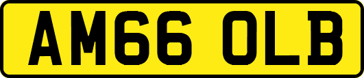 AM66OLB