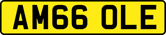 AM66OLE