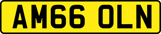 AM66OLN
