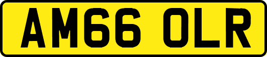 AM66OLR